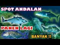 Spearfishing Indonesia || Hasil tangkapan ikan yang melimpah