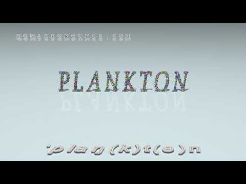 How can you use plankton in a sentence?