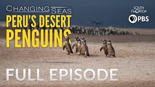 Peru's Desert Penguins | Full Episode