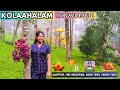 YERCAUD RESORT 🌄🏨 Kolaahalam Mainland Resorts & Spa | Tamil Travel Vlog | Part 1 {2024}