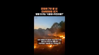 공원에 7번 불 낸 연쇄방화범 검거 범행 도구는 '식용유+키친타월?' #shorts