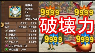 【元ランキング1位が徹底解説】＃イルルカSP　マダンテ×自動MP回復で敵を粉砕！無敗伝説を敗れるのか？【ドラゴンクエスト】