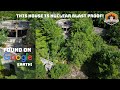 Mysterious ABANDONED Offgrid Mansion Hidden from the World