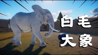 Planet zoo动物园之星48：山洞中发现大象，毛发是白色的，据说是猛犸象后代