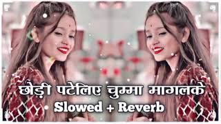 छोड़ी पटेलिए चुम्मा मागलके ( #Slowed + Reverb ) Maithali #Lofi Song | Chhori Pateliye Chumma Maglke |