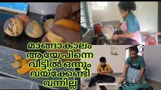 മാങ്ങാകാലം ആയേ പിന്നെ വീട്ടിൽ ഒന്നും വയ്ക്കണ്ട ||  daily vlog || sincy's vlog