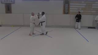 Aikido: Overcoming Wrist Locks with Jack Bieler, Lesson 1