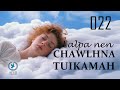 Lalpa Nen Chawlhna Tuikamah - 022 | Damlote tana hahchawlhna