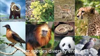 Polygenic Inheritance Part 2