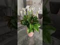 calla lily u0026 green floral arrangement floraldesign diy