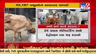 Gujarat government on toes over rising cases of lumpy virus in the state |TV9GujaratiNews