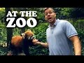 PITTSBURGH DAD AT THE ZOO