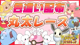 【ポケモンSVライブ配信中】色違いポケモン配布💕丸太レース大会！誰でも参加OK♥【ポケモンスカーレット・バイオレット】