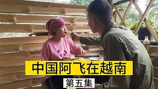 中国阿飞在越南，怀孕的阿玉去砍树叶，赶在二胎出生之前多赚点钱