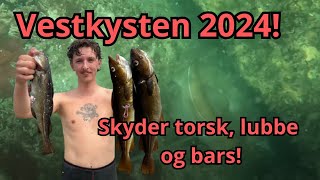 UV JAGT vestkysten 2024 - Skyder havbars, sej og torsk!