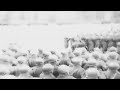 1945 | Soviet October Revolution Parade (Latvian S.S.R)