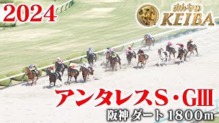 【アンタレスS・GⅢ】アンタレスステークス 阪神 ダート 1800m 2024 レース  【みんなのKEIBA】