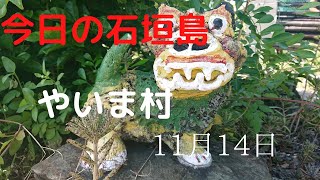 【石垣島】久しぶりの綺麗な虹・やいま村リス猿が可愛い