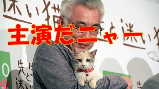 《天才ドロップちゃん》「あまちゃん」出演の三毛猫がヒロインで“銀幕デビュー”　共演者も絶賛