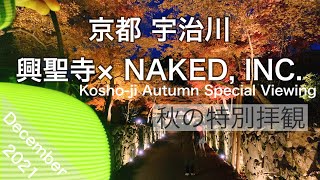 【琴坂】興聖寺×NAKID,INC.【紅葉】