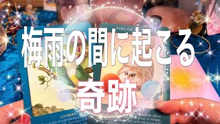 【☔️🐸梅雨の間に起こる奇跡🌈🕊💖恋愛＋仕事🔮当たる⁉️タロット占い🔮✨】