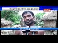 unknown cattle disease spreading across villages in bhadrak s chandbali block kalinga tv