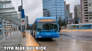 VIVA Blue Bus Ride On Yonge Street From Finch Terminal To Bernard Terminal