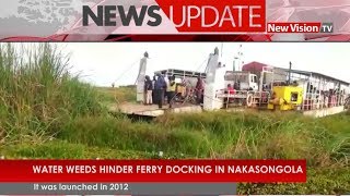 Water weeds hinder ferry docking in Nakasongola