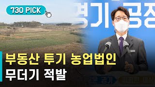 축구장 84개 규모 부동산 투기 농업법인 26곳 적발