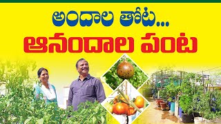 Beautiful Roof Garden and Healthy Crop |అందాల తోట ఆనందాల పంట|