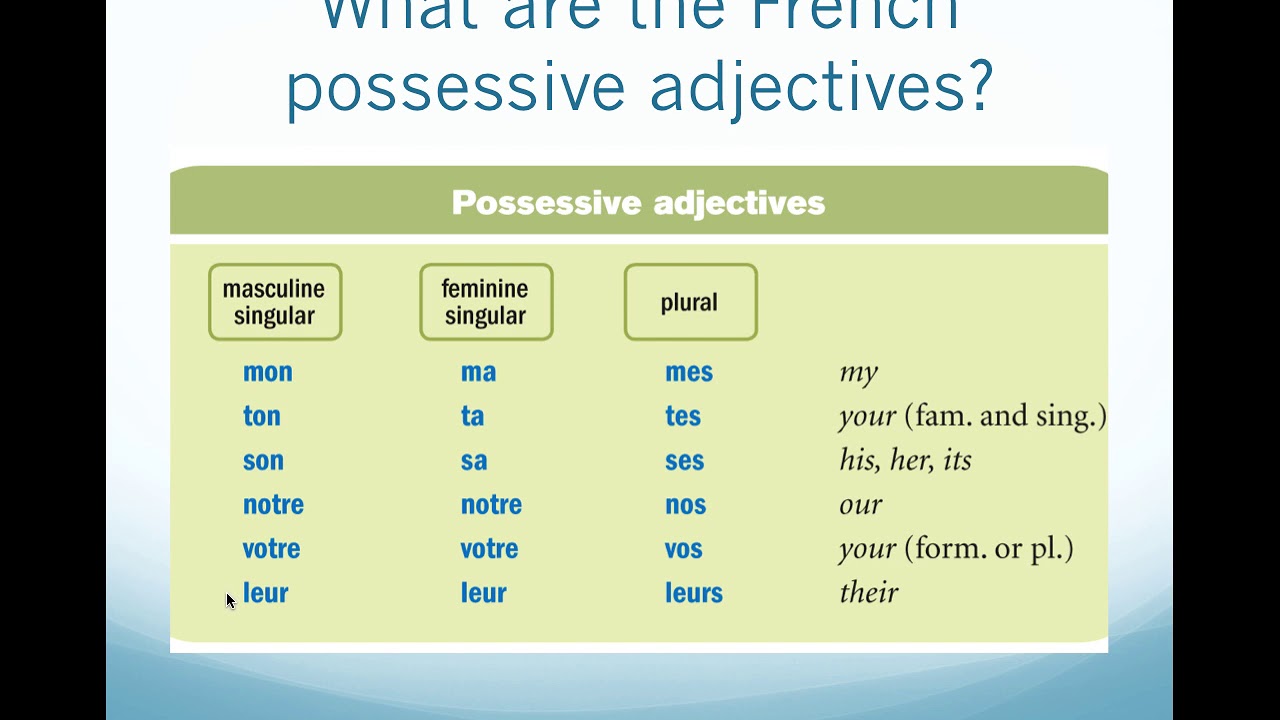 Possessive Adjectives In French - YouTube