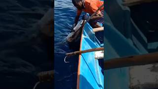 Sail Fishing In Fishing Boat