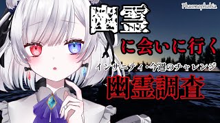 phasmophobiaッッッッ幽霊調査やりましょうね【Phasmophobia】（Vtuber/凍焚冥子）