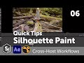 Quick Tips for Silhouette Paint: Cross-Host Workflows