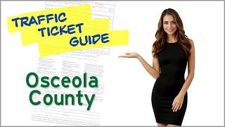 How to Handle a Traffic Ticket in Osceola County Florida (Step-by-Step Guide)