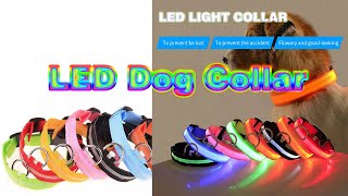 Best LED Dog Collar