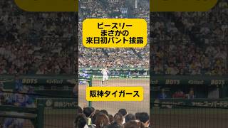 ビーズリーの華麗な初バントダッシュ　#阪神タイガース#プロ野球#ビーズリー #横浜denaベイスターズ