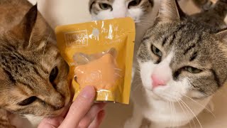 猫にモテるという入浴剤を使用したらこんな結果に...！