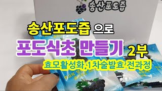 송산포도식초 만들기 송산포도즙으로 포도식초 만들기