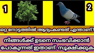 ഇതിൽ ആദ്യം കണ്ടത് ഏതാആണ്? നിങ്ങളുടെ ജീവിതത്തിൽ ഉടനെ സംഭവിക്കാൻ പോകുന്നത്,നിങ്ങളുടെ തലവര തന്നെ മാറും