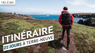 Voyage à Terre-Neuve: planification, itinéraire, activités et budget | Jour 182 de 365