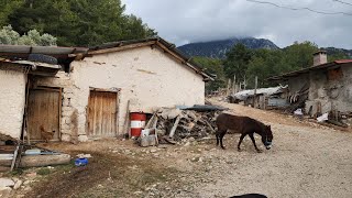 Seydikemer Yakaköy,de Satılık Müstakil Köy İçi 684 Metrekare Deniz Manzaralı Arazi Ve Bahçe..