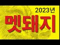 아주포획기 보조사업용 멧돼지포획틀 전남 진도군 섬에 사는 야수 멧돼지 포획 멧돼지 트랩 멧돼지 덫 @아주포획기