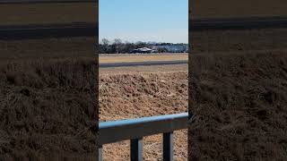 Piper landing at KGMU #aviation