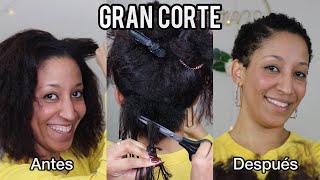 GRAN CORTE | BIG CHOP | antes y después del gran corte | Como hacer el gran corte