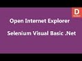 VB Net Selenium Open Internet Explorer Window