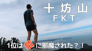 猿に遭遇？！十坊山FKT