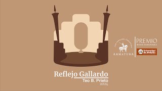 Armatura: Sir Galahad (PREMIO MARIO HERNÁNDEZ 2024)