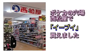 ポケカの穴場 西松屋で『イーブイ』買えました