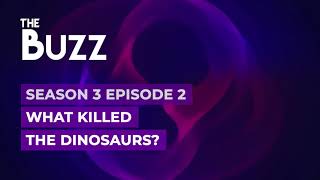 The Buzz - S03E02 - What killed the dinosaurs?